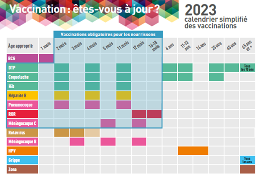 calendrier simplifié des vaccinations